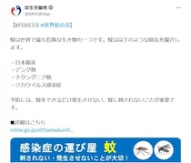 「蚊は世界で最も危険な生き物の一つ」　厚労省が注意喚起する理由とは？