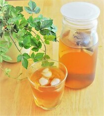 水出しは不安…作り置きの「お茶」、どれくらい日持ちする？　パックは入れっぱなしOK？