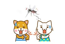 犬や猫も人間のように「蚊」に刺される？　かゆみを感じることは？