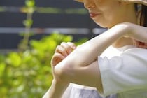 【画像】蚊に「さされる」「かまれる」「くわれる」…呼び方の全国“分布図”