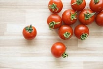 しなしなの「プチトマト」…食べるのNG？　実は“復活技”が…管理栄養士「捨てないで！」　しなしなにさせない保存法も