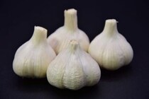 【疑問】国産と中国産の「ニンニク」は何が違う？　“疑問”を管理栄養士に聞いてみた