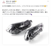 「ナス」を冷蔵庫に入れたらシワシワ…長持ちさせる“保存術”とは？