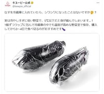 【豆知識】電子レンジで簡単調理！　これが「冷やしナス」の“作り方”です