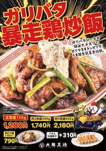 【写真】鶏肉の山、山、山…2倍盛300グラム、3倍盛450グラムもヤバイ！　新商品をもっと見る！