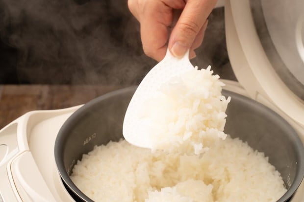 【炊飯器】そろそろ買い替えたい…失敗しない選び方の基準とは　パナソニックが紹介