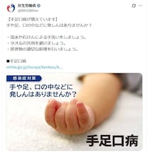 特効薬なし…乳幼児に多い「手足口病」流行　小学生の感染や“脳炎”のケースも、防ぐ方法とは