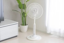 【扇風機】羽根ありor羽根なし、どっちがおすすめ？　家電量販店が紹介する選び方に「参考にします」