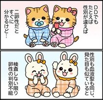 【漫画】「双子には3種類ある」　妊娠して初めて知った“意外な事実”に「全然知らなかった」と驚きの声