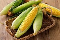【えっ】旬のトウモロコシ、ゆでない方が甘い！？　キユーピーが伝授する“調理法”に「簡単なのにおいしい」