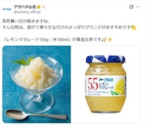 暑い日にぴったり　アヲハタ公式「混ぜて凍らせるだけ」のグラニテ　“黄金比率”紹介