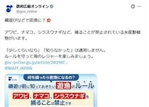 【画像】罰金3000万円！？　これが磯遊びの時に捕ってはいけない“生き物”です！