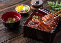 サイズはオスの2倍…話題の「メスウナギ」は身がふわふわ！？　研究機関に聞く“養殖に成功した理由”【土用の丑の日】