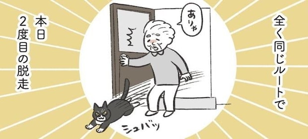 【漫画】祖母がドアを開けた隙に愛猫が脱走…！　繰り返すハプニングに「わが家も同じ（涙）」