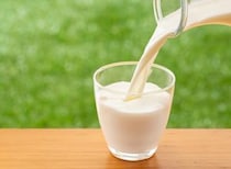 牛乳、豆乳、アーモンドミルク…「毎日飲む」なら？　管理栄養士のおすすめを聞いてみた結果