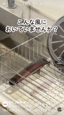 【えっ】フライパンの取っ手、洗った後“上向き”はNG？　ティファール公式が教える長持ちする乾かし方に「知らなかった」