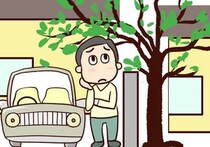 隣家の「木の枝」が自宅敷地に…何もしてくれなかったらどうする？　切ると違法？