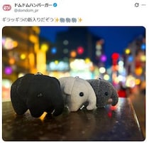 「オチが秀逸」ドムドムの新入り、まさかの“名前”にツッコミ続々　SNS「この子だけなぜ」「急ハンドルすぎる」