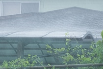 大雨＆台風で隣家の土砂、倒木が敷地に侵入…勝手に処分すると“賠償”リスク！？　正しい対処法を弁護士に聞く