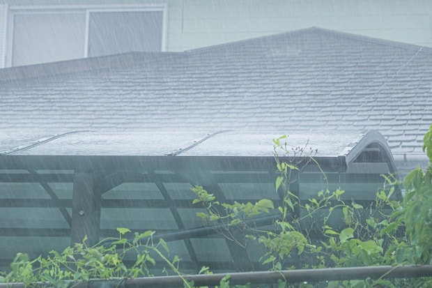 大雨&台風で隣家の土砂、倒木が敷地に侵入…勝手に処分すると“賠償”リスク!? 正しい対処法を弁護士に聞く