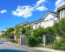 【邪魔で迷惑】隣家の「木の枝」が自宅敷地に越境、勝手に切っちゃダメ？　弁護士が明かす「自ら切れる」3つの条件
