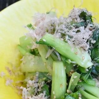 実は栄養価が高い！「チンゲン菜」を使った副菜レシピ