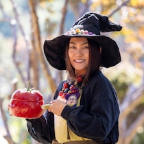 かさまし料理のパイオニア・よっち ー11年越しの夢と自力営業で切り拓いた道ー