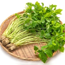 高くなる前に買いたい！三つ葉の保存方法　年末まで十分持つ裏ワザ