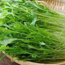 シャキシャキ長持ち！お手軽便利な「水菜」の保存ワザ