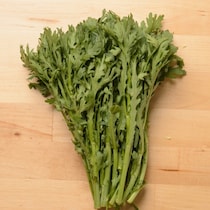 【永久保存版】もうしなびさせない！「春菊」の長持ち保存法