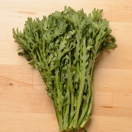 【永久保存版】もうしなびさせない!「春菊」の長持ち保存法