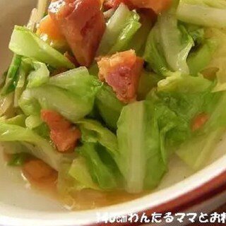 キャベツ使い切りに便利!5分で作れる「キャベツおつまみ」4選