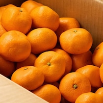 みかんやりんごを長持ちさせる裏ワザはこれ！12月に最も読まれた「裏ワザ」の記事は？【月間ランキングTOP5】