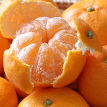 大量消費にも！残念みかんをおいしく食べるワザ3選