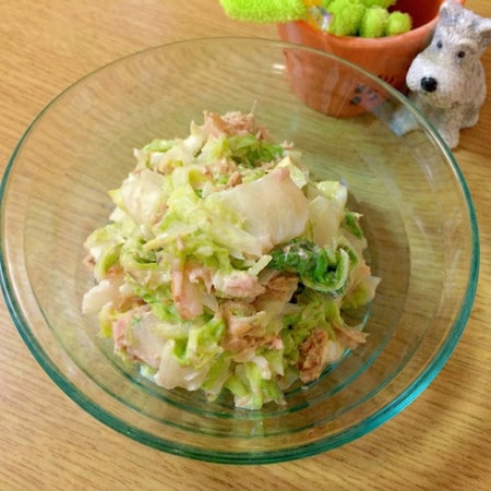 【殿堂入り】クックパッドで人気！抱えて食べちゃう「簡単白菜サラダ」