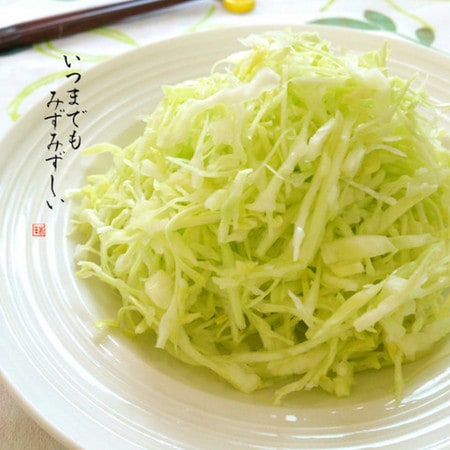 【裏ワザ】シャキシャキ「千切りキャベツ」のみずみずしさが続く簡単な方法！