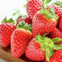 たくさん買えたときに役立つ！農家おすすめの「いちご」の保存法