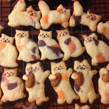 【2月22日は猫の日】見ているだけでも癒される「猫レシピ」集めました