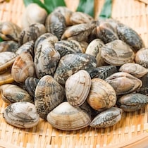 ◯◯に漬ければ15分で完了！「アサリの砂抜き」ワザ