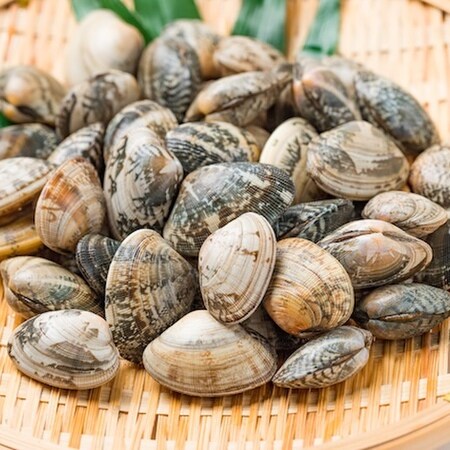 ◯◯に漬ければ15分で完了！「アサリの砂抜き」ワザ