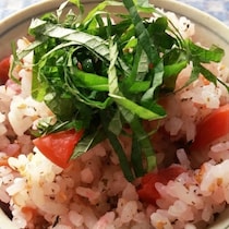 手軽に作れて助かる！「炊き込みご飯」が春のお弁当にぴったり