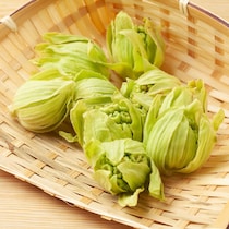 味噌だけじゃない！ここまで使える「ふきのとう」の新しい食べ方