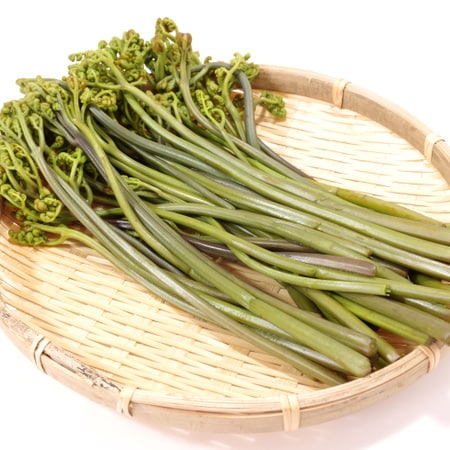 あく抜きって難しくない！この時期人気のわらびをおいしく食べる方法5選