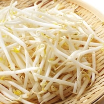 最後まで使い切れる！知っておきたい「もやしの保存法」