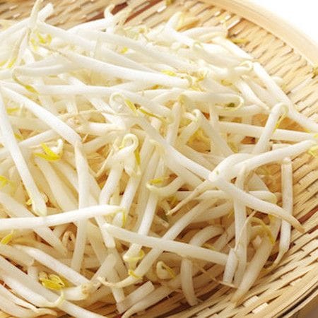 最後まで使い切れる！知っておきたい「もやしの保存法」