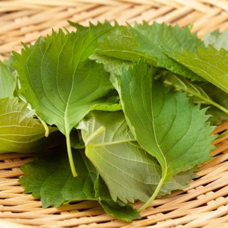 冷凍しても絶対崩れない!?「大葉の保存」正解ワザを試してみた