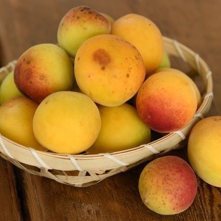 【初めての梅仕事におすすめ】完熟梅を見つけたら作って欲しい!「梅の紅茶煮」