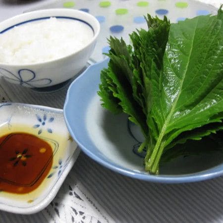 【リピーター続出!】大葉のおいしい食べ方発見!ご飯が止まらない「大葉のり」レシピ