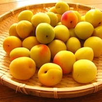 今年こそ梅干しに挑戦！保存袋で簡単＆少量から作れる梅干し
