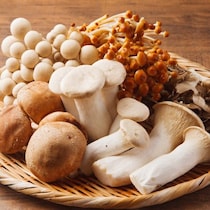 〈ただ食べるだけじゃ損してる！〉ダイエットの味方「きのこ」をより効果的に食べるには？管理栄養士が解説